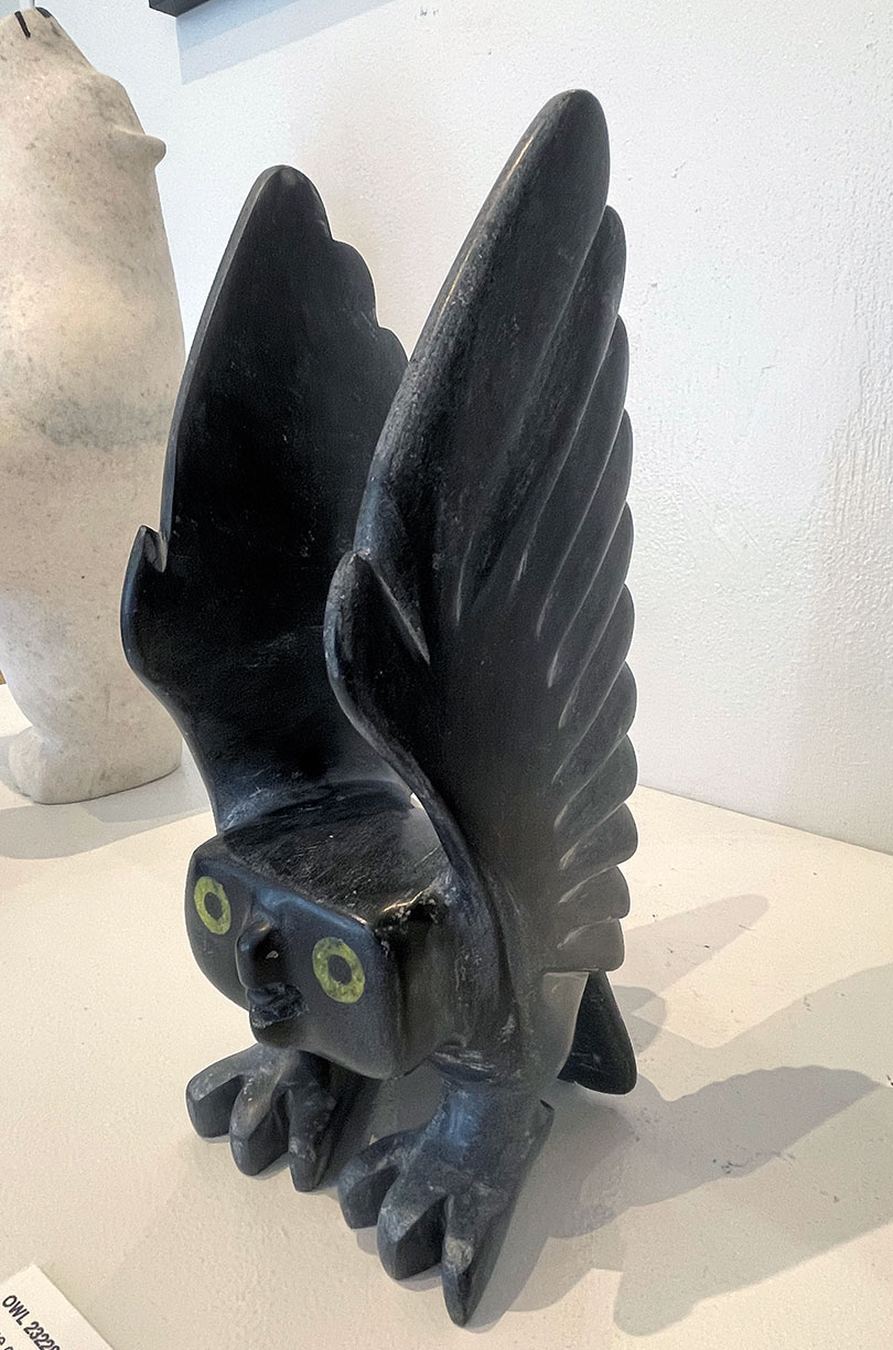 Owl  23228