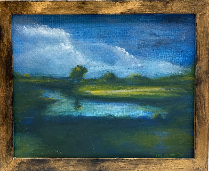 Dimming Before the Light  by Lesley Johnson