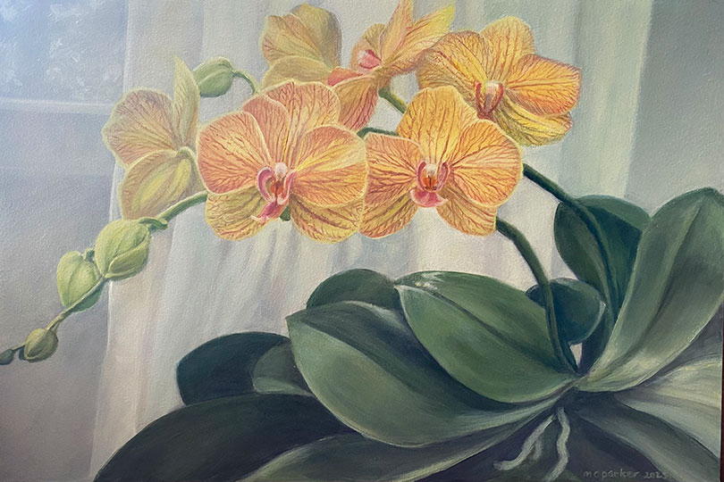 Yellow Orchid by m c parker